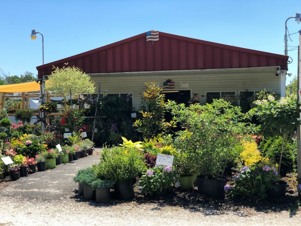 plant nursery nj 2