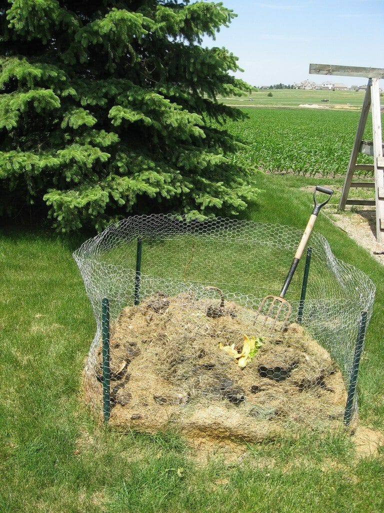compost for grass seed 1