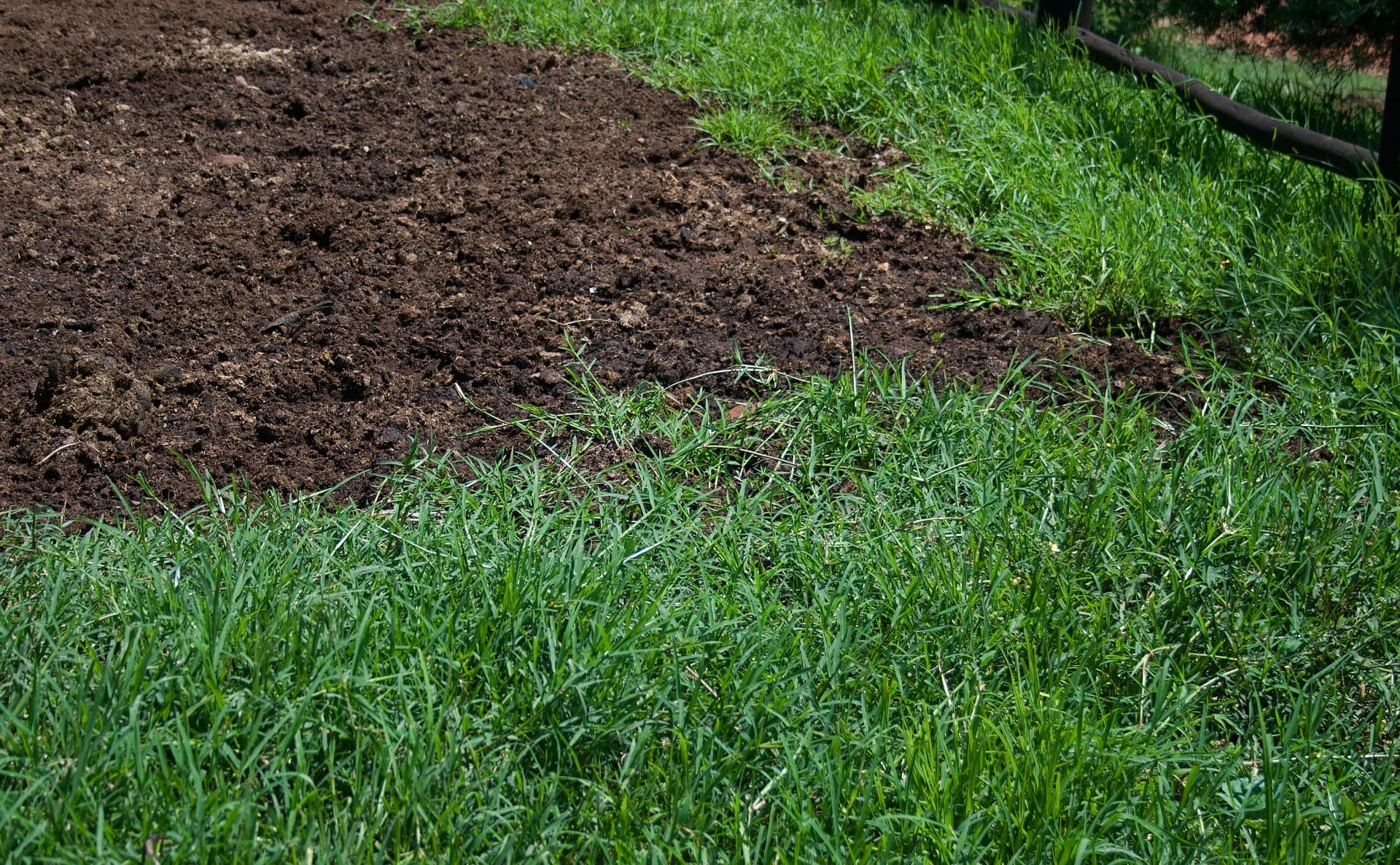 compost for lawns 2