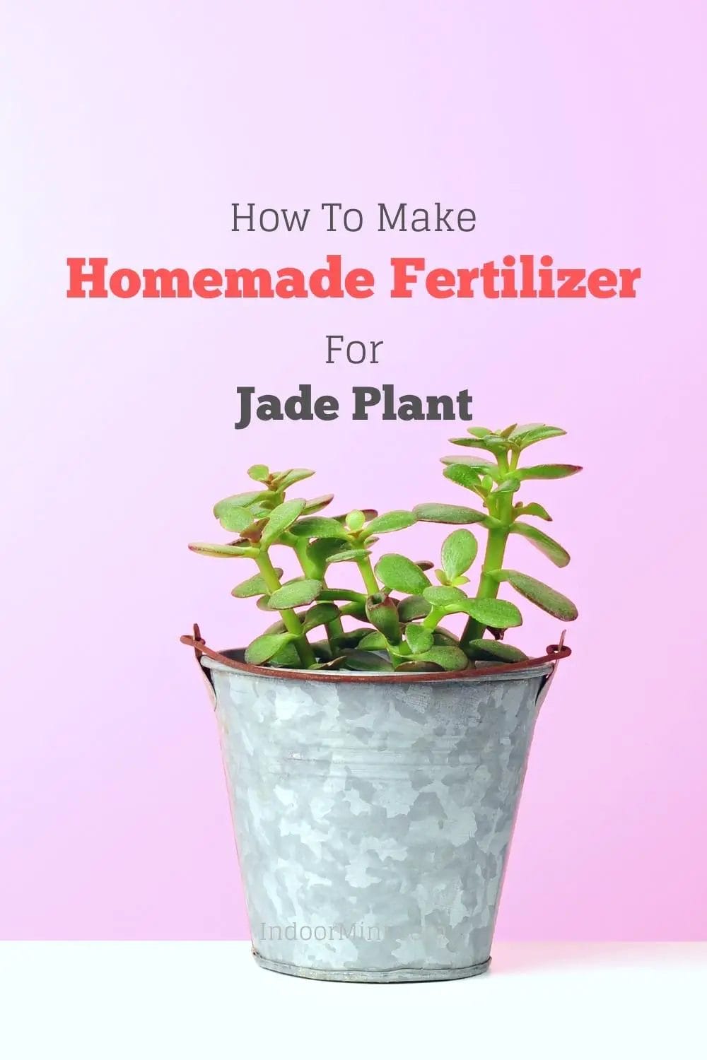 fertilizer for jade plant 2