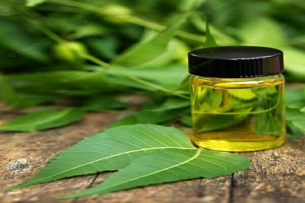 neem oil for indoor plants 2