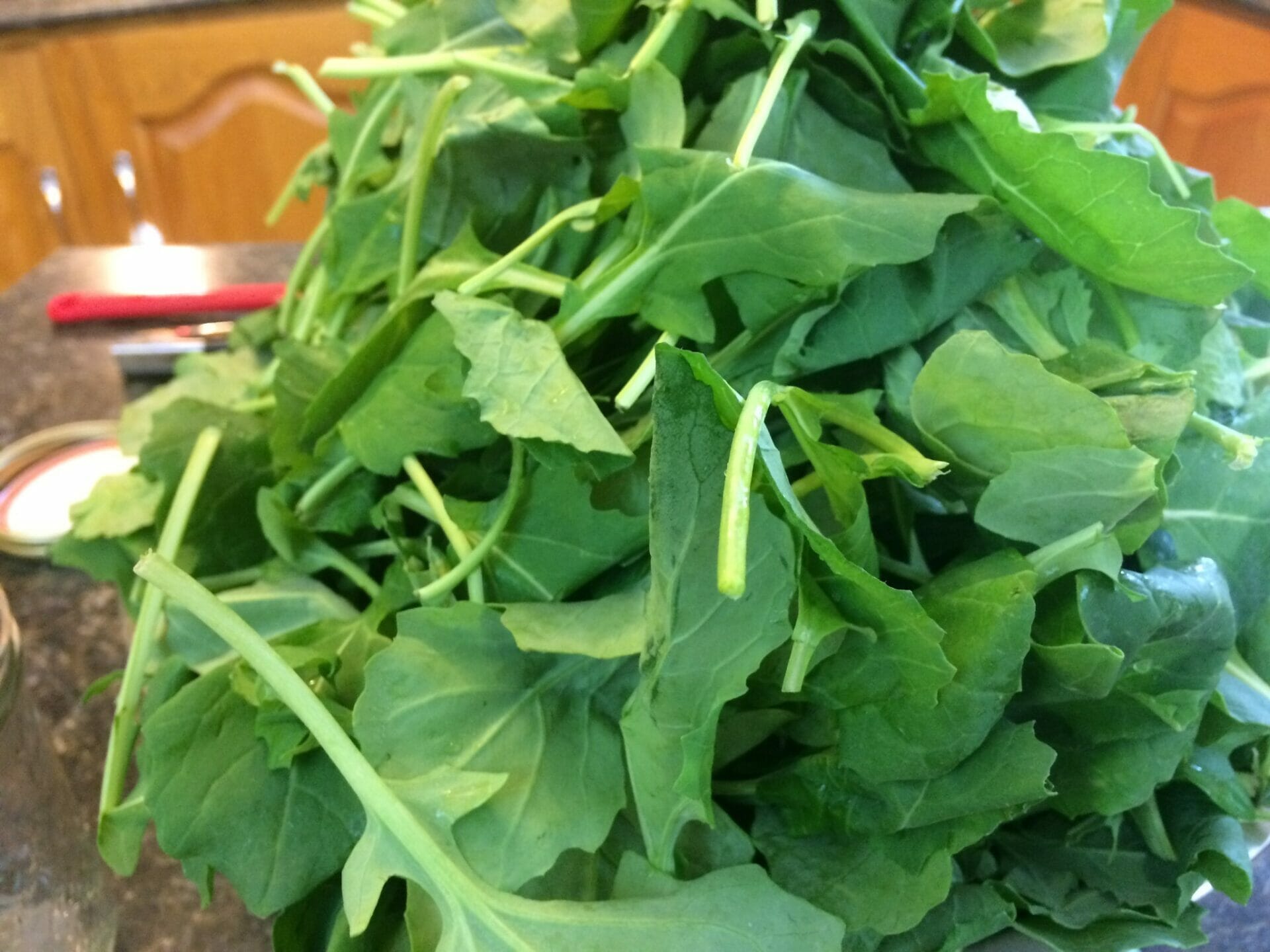 fertilizer for turnip greens 1