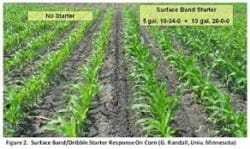 starter fertilizer for soybeans 1