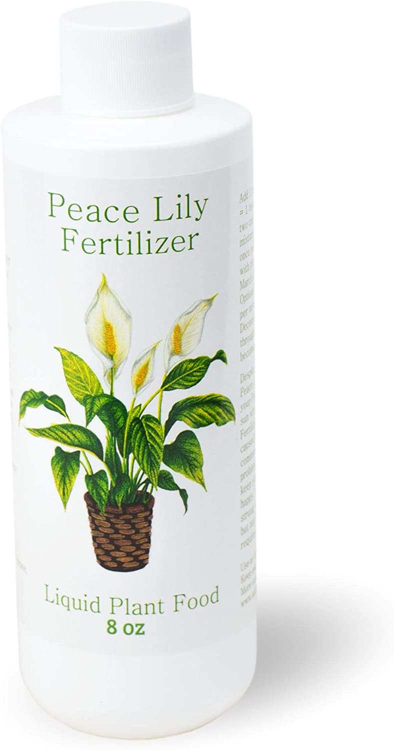 10 Best Fertilizer For Peace Lily In 2023 The Wrench Finder