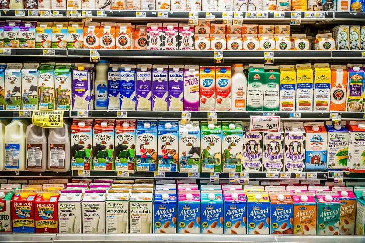 plant based milk for frothing 2