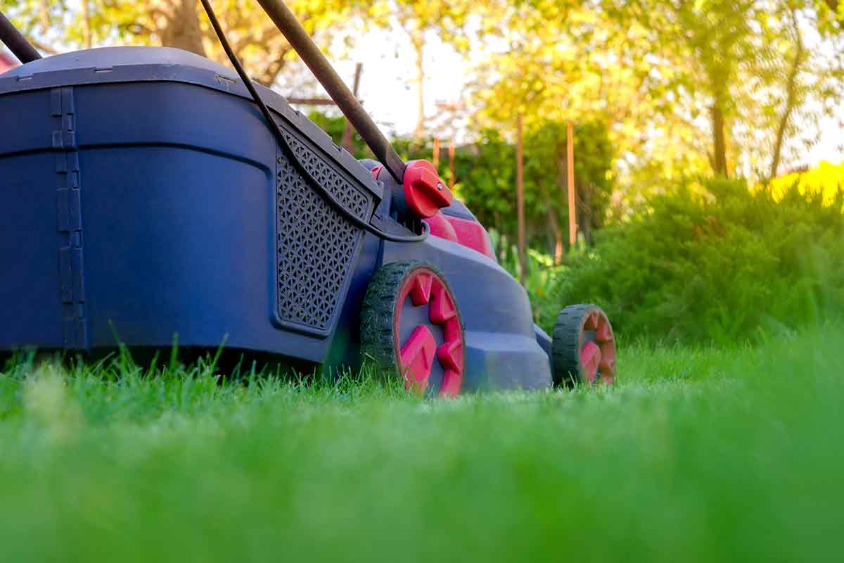 lawn mower for scalping 2
