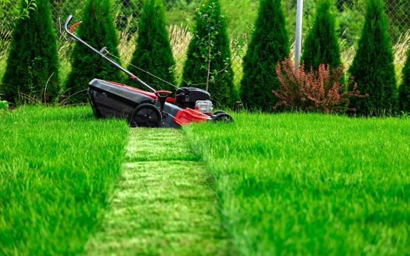 lawn striping mower 1