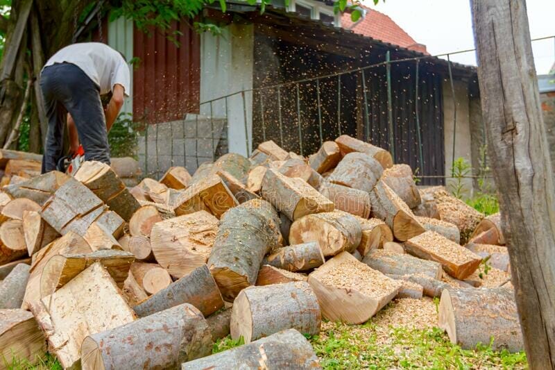 professional chainsaw for cutting firewood 1