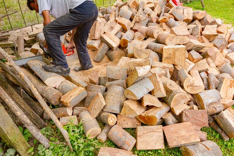 10 Best Professional Chainsaw For Cutting Firewood In 2023 The Wrench