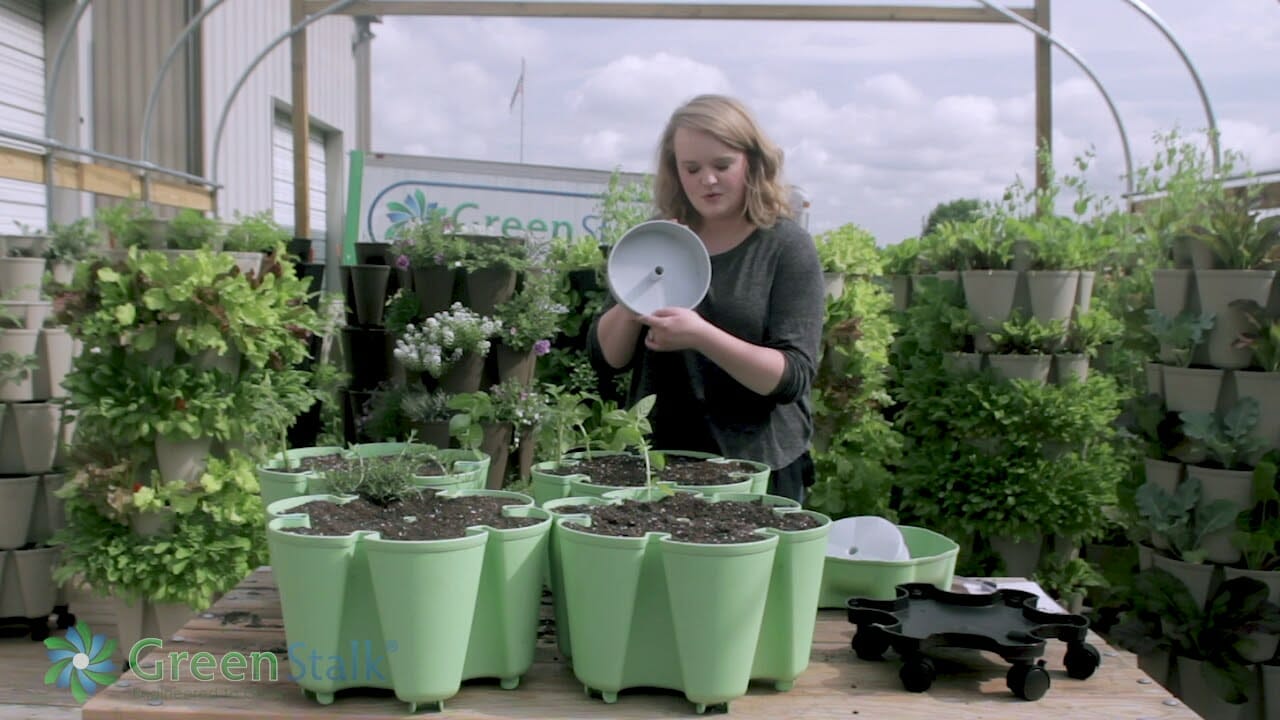 soil for greenstalk planter 2