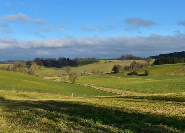 mower for 2 hilly acres 1