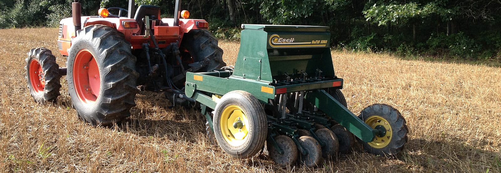 no till fall food plot 2