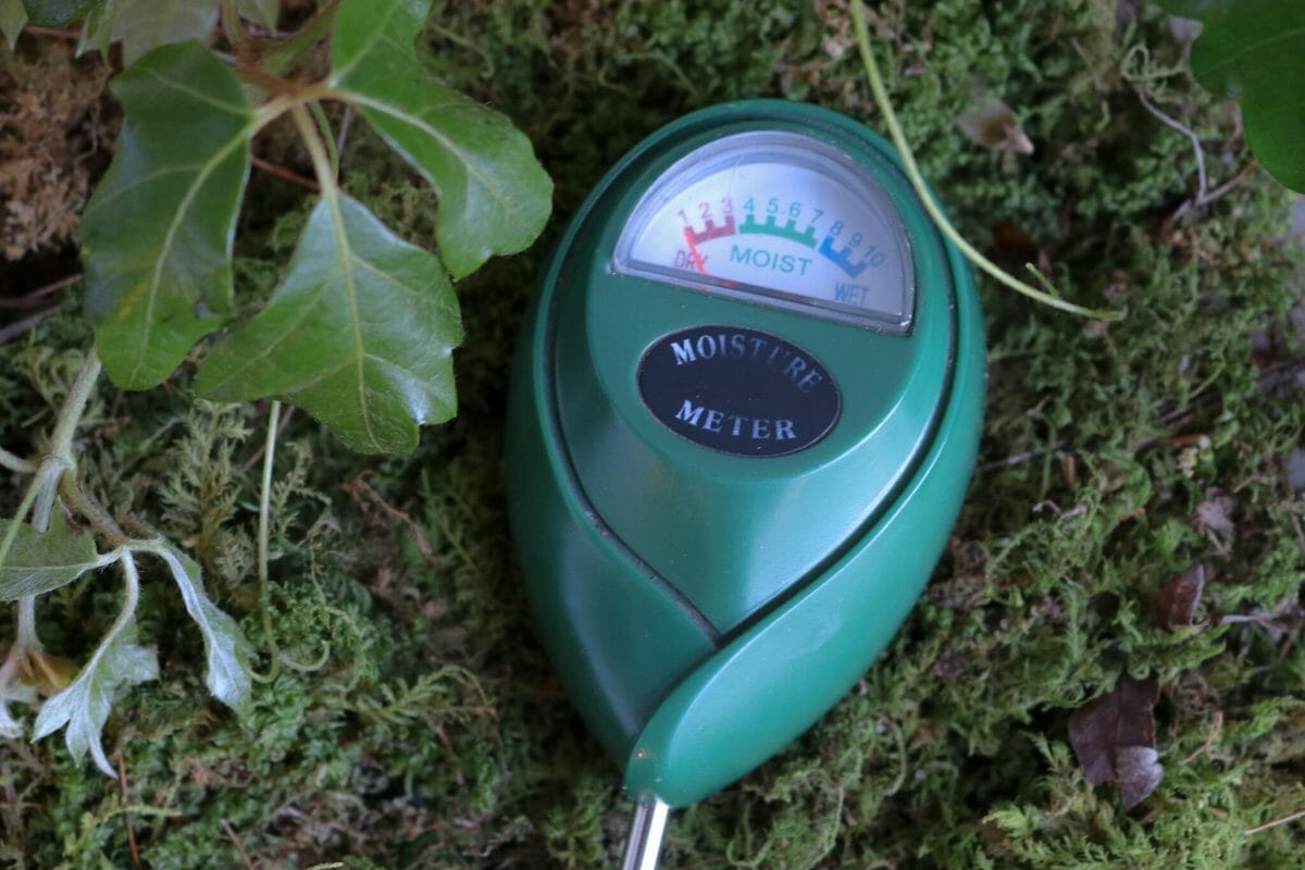 bud moisture meter 1