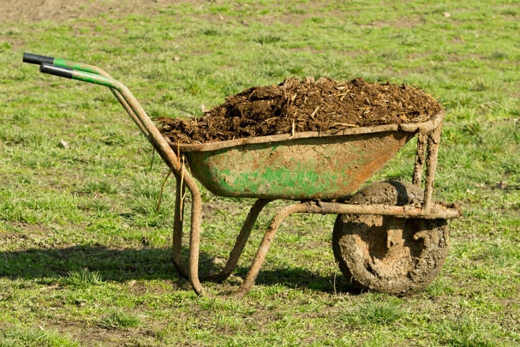 10 Best Wheelbarrow For Horse Manure In 2023 The Wrench Finder