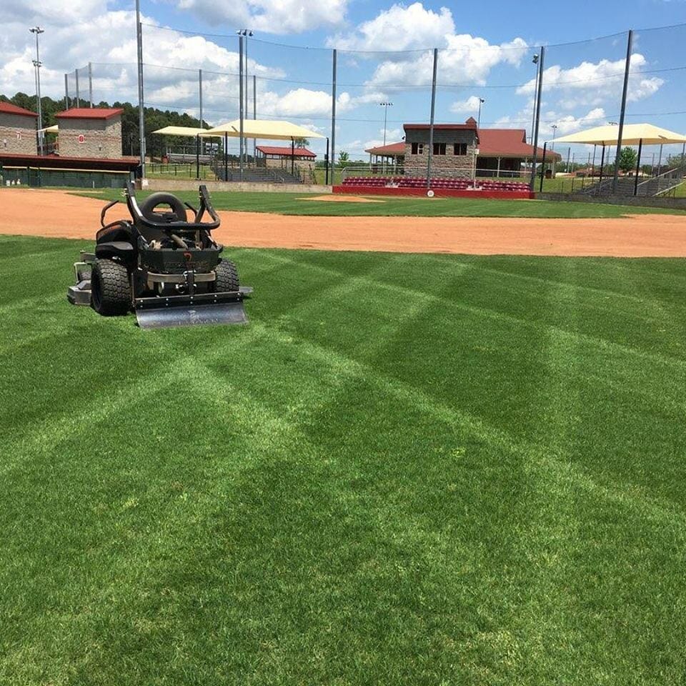 mower for stripes 1