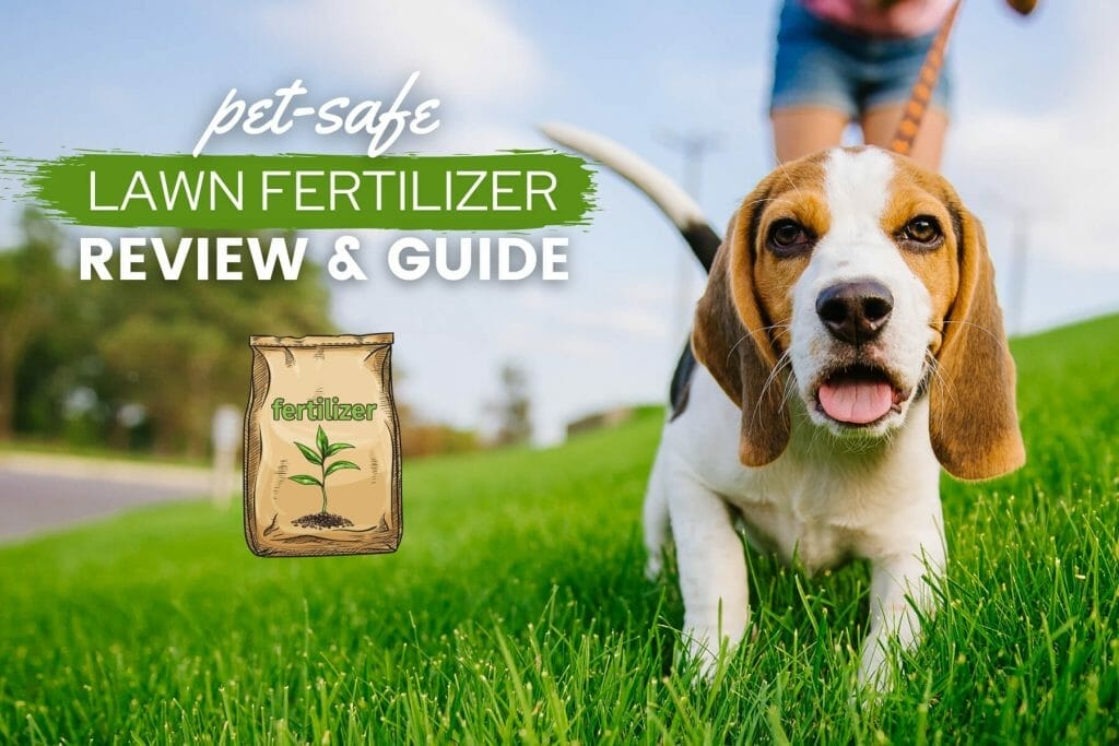10 Best Pet Friendly Fertilizer For Grass In 2023 The Wrench Finder