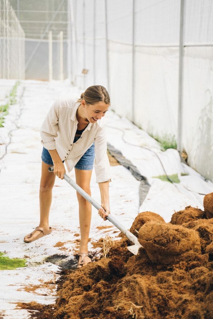 shovel for digging up roots 1