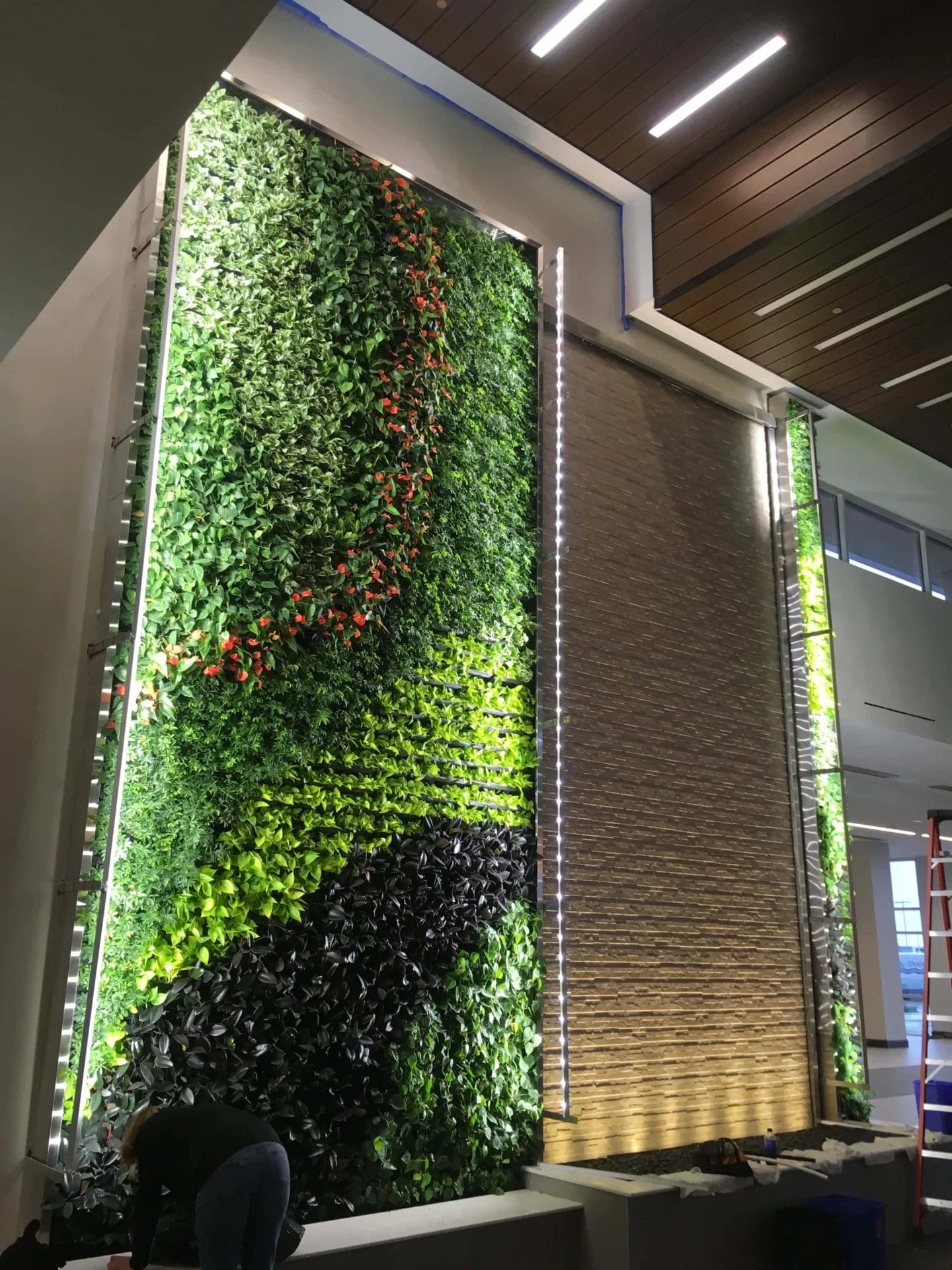 plants for indoor living wall 2