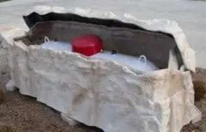 plants to hide propane tank 1