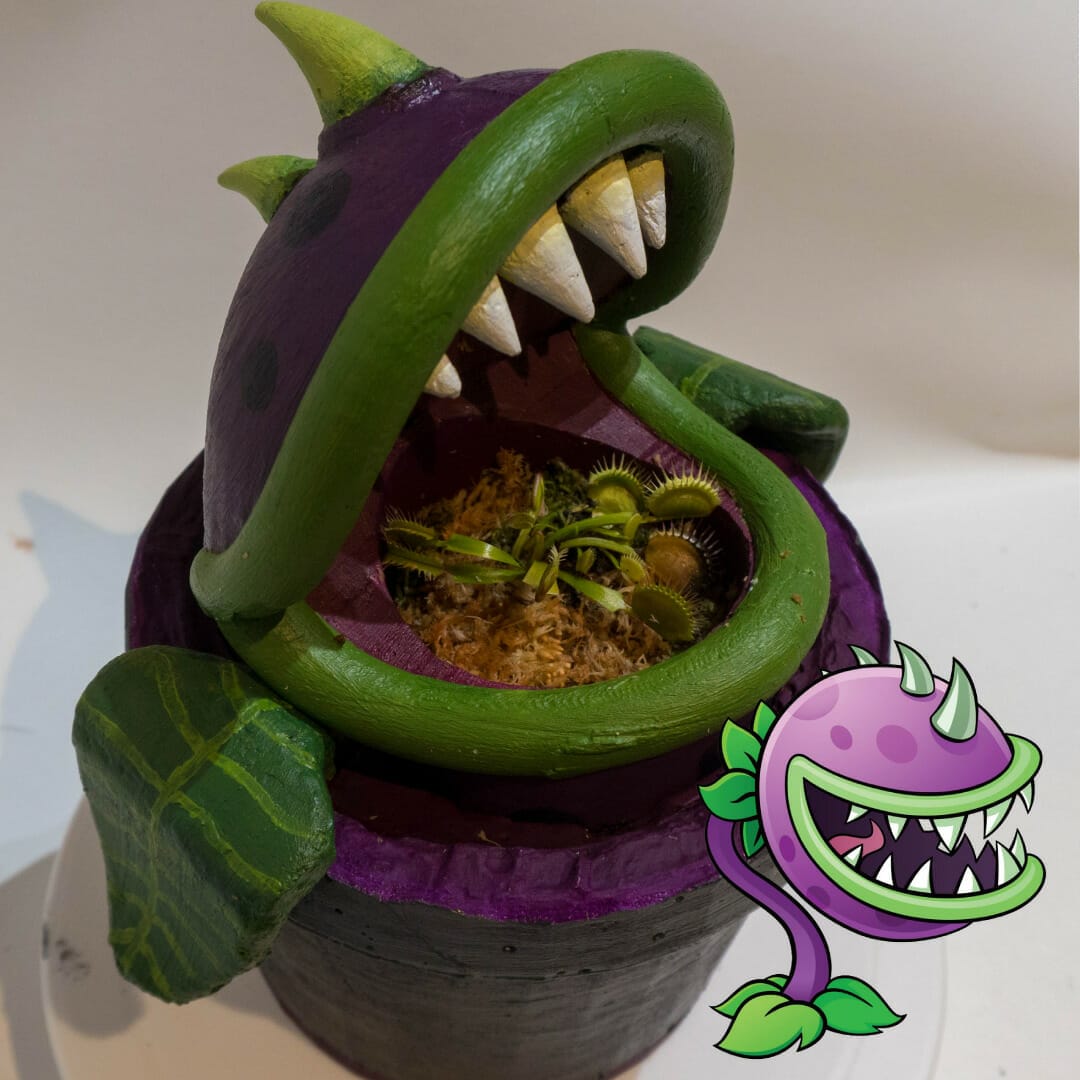 planter for venus fly trap 1
