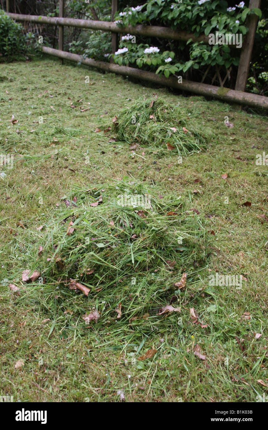 rake for grass clippings 1