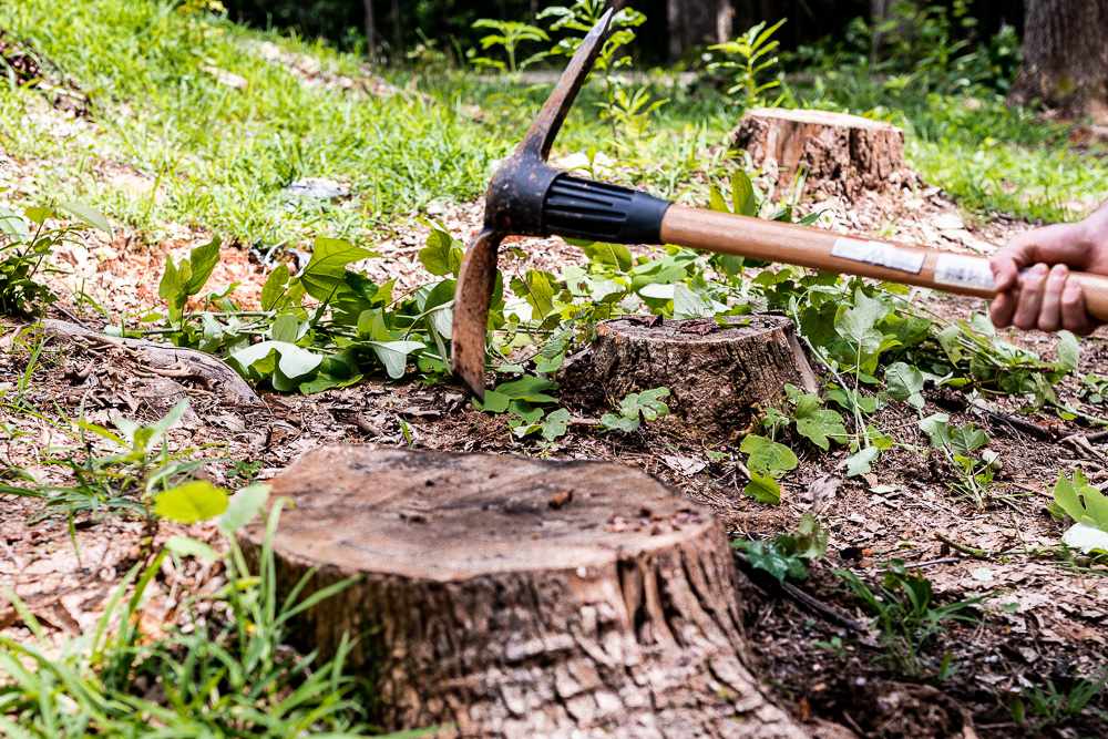 axe for stump removal 1