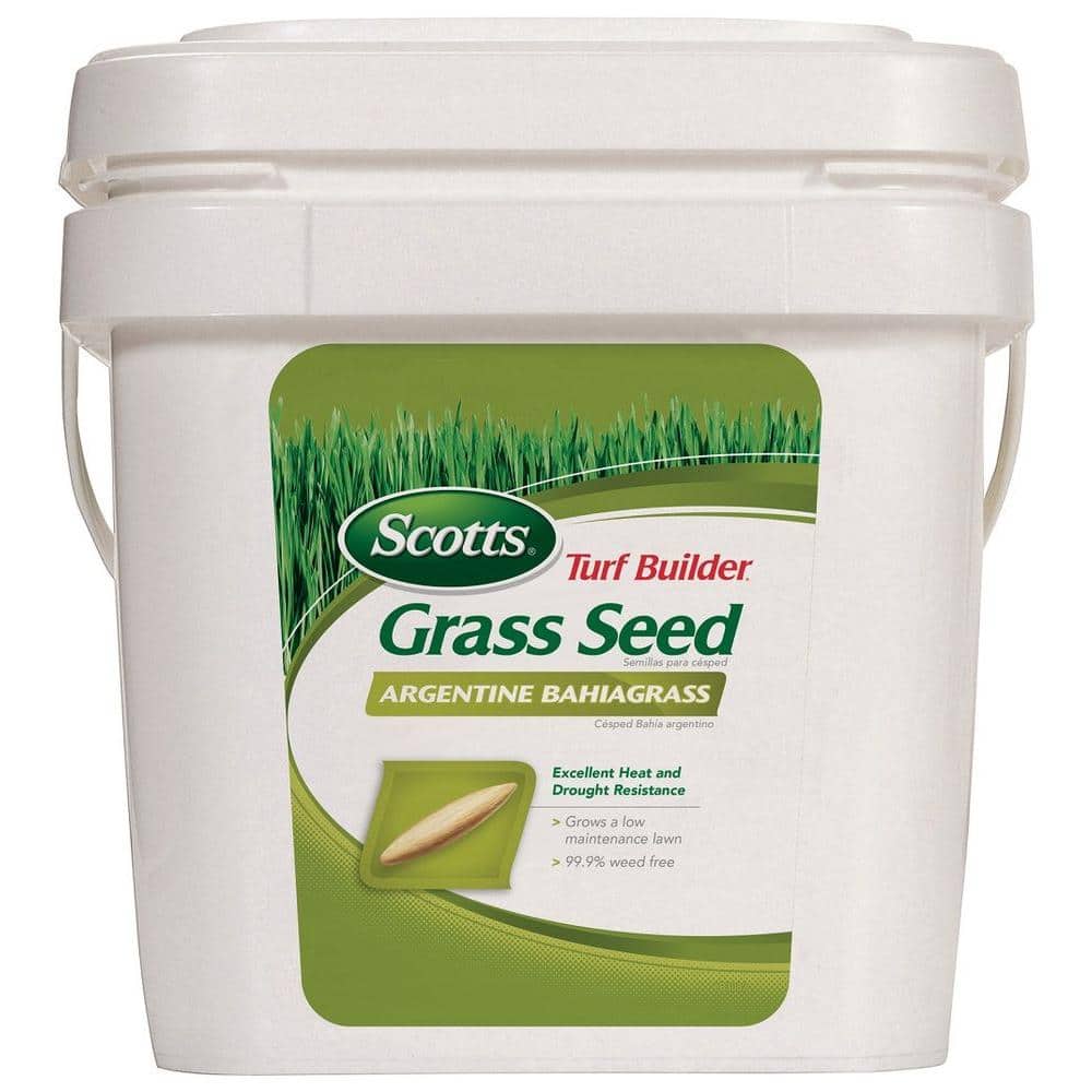 argentine bahia grass seed 2