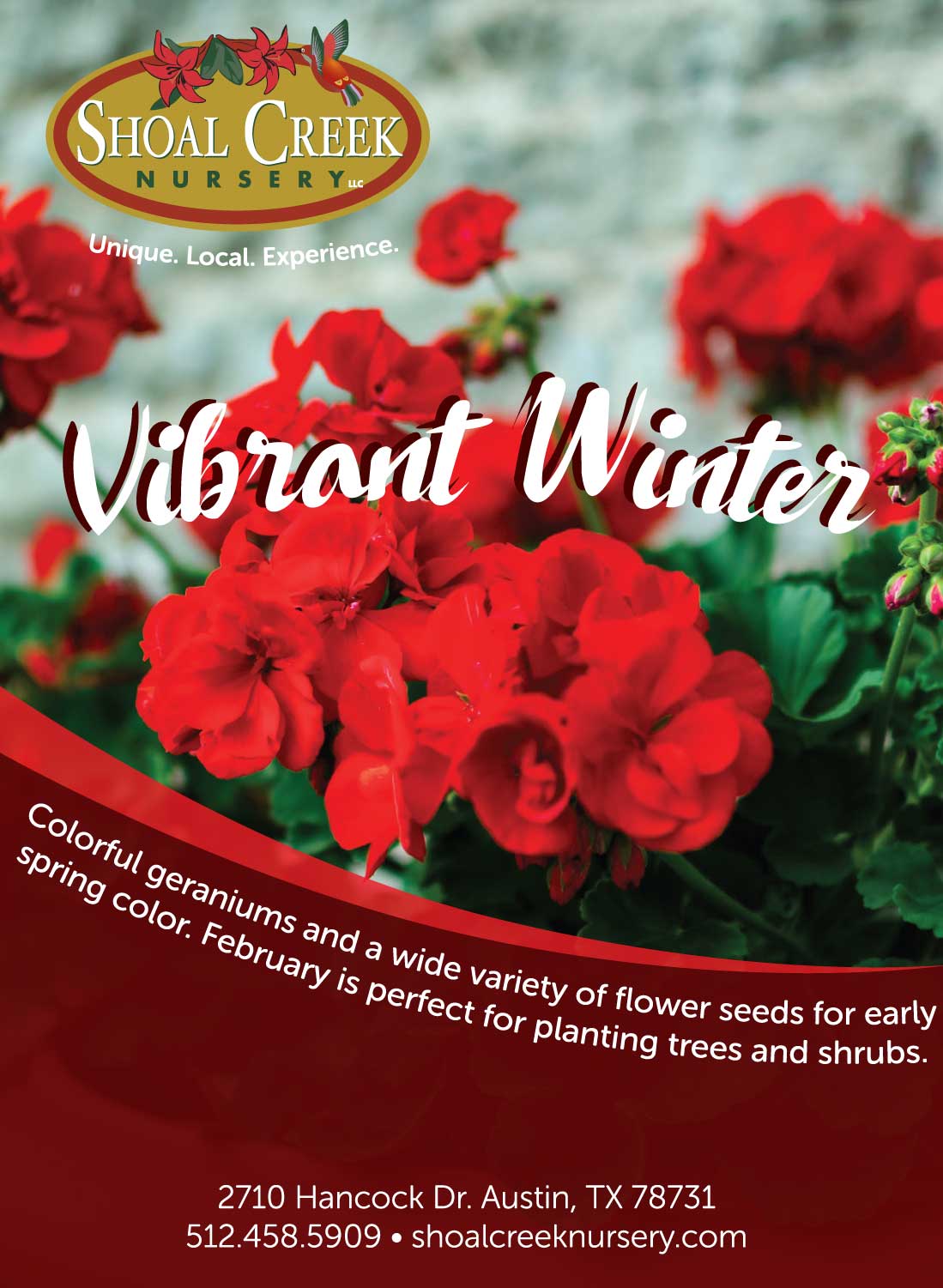 10 Best Plant Nursery Austin In 2023 The Wrench Finder