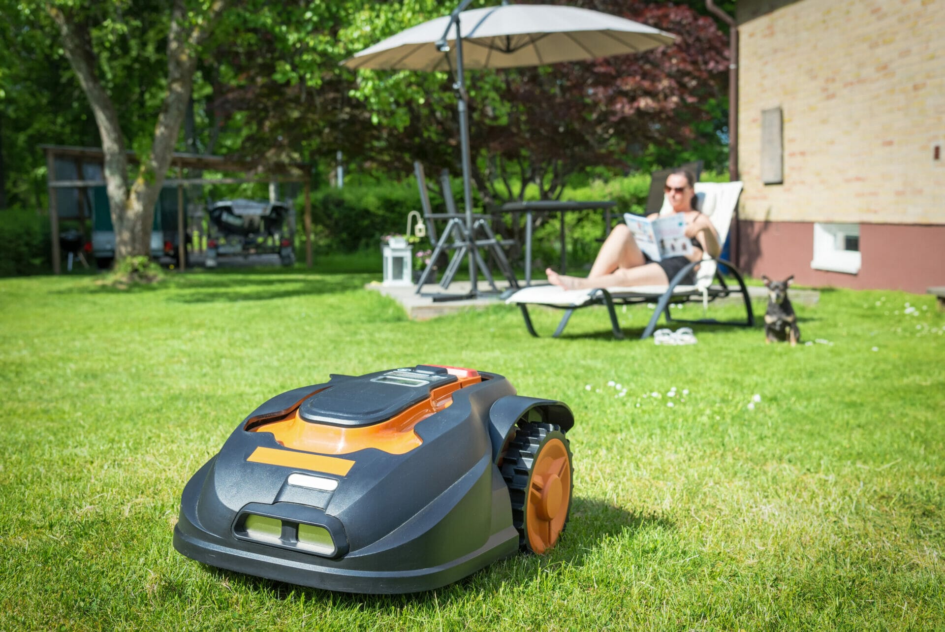 robotic mower for large lawns 2