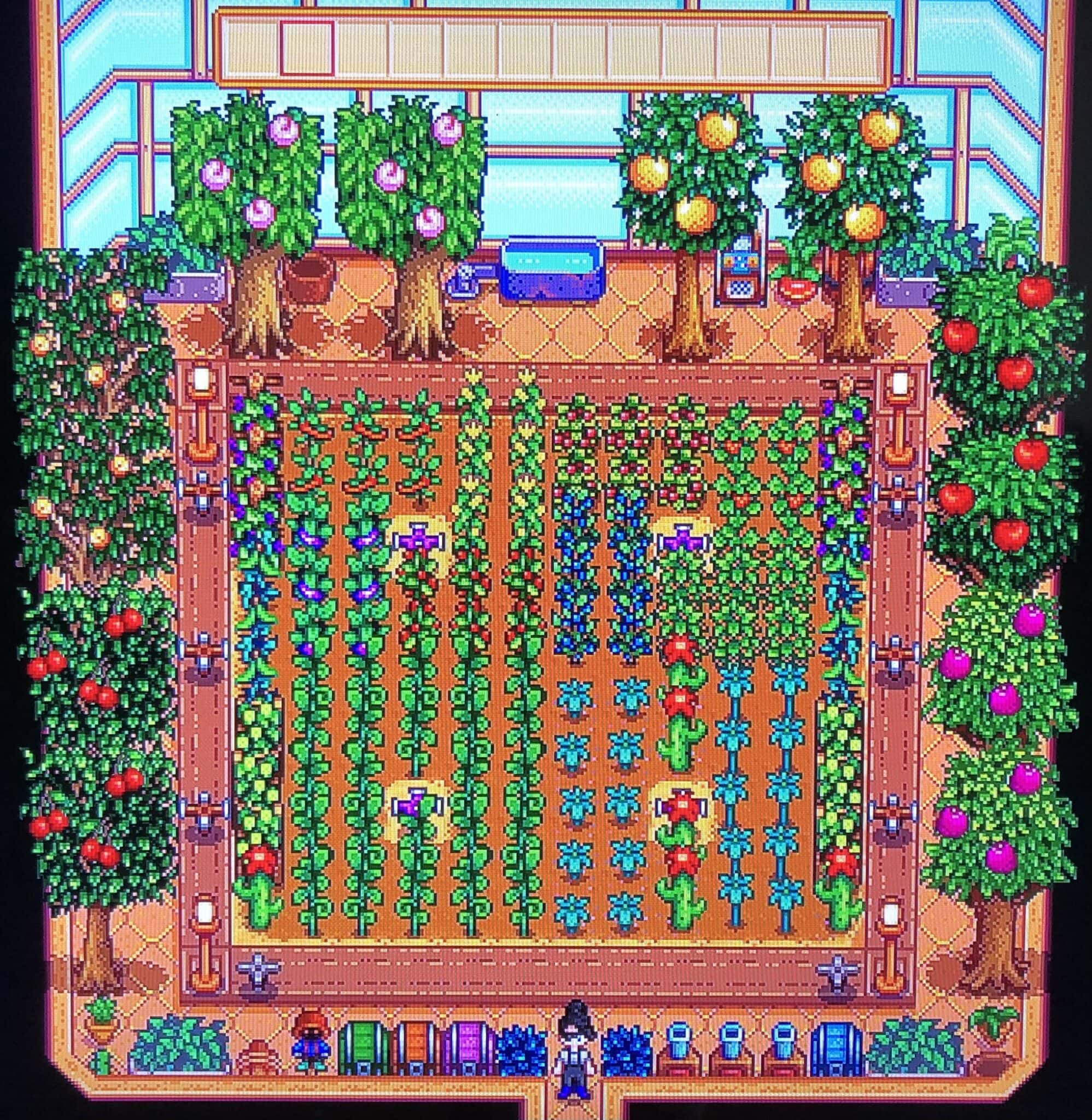 fertilizer for greenhouse stardew 1