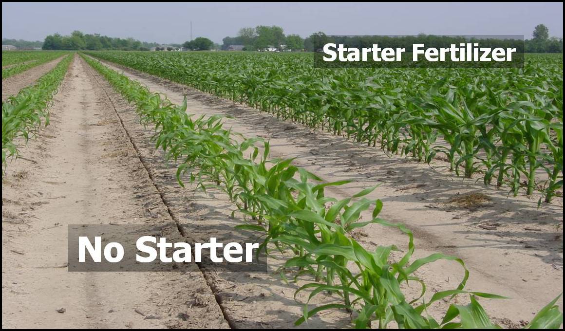 starter fertilizer for soybeans 2
