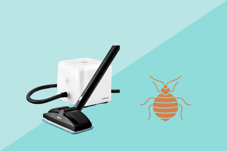 steam cleaner to kill bed bugs 2