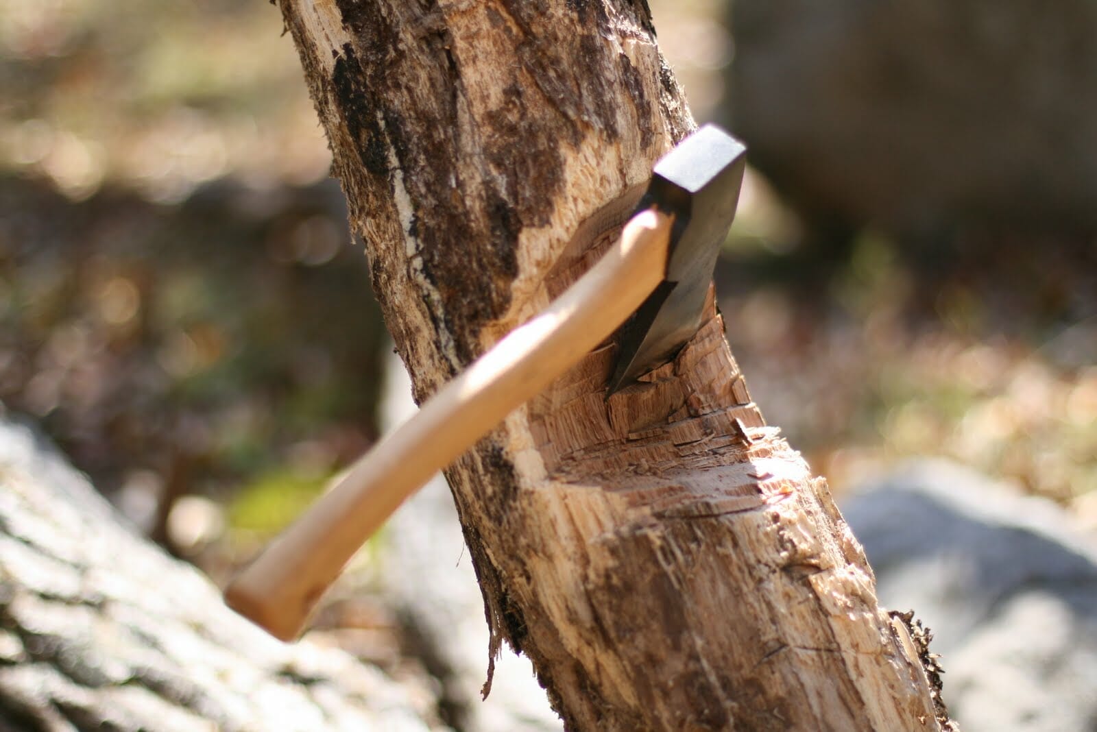 axe for cutting down trees 1