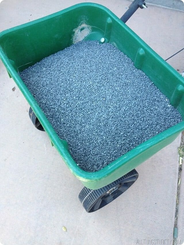 fertilizer for dark green grass 1