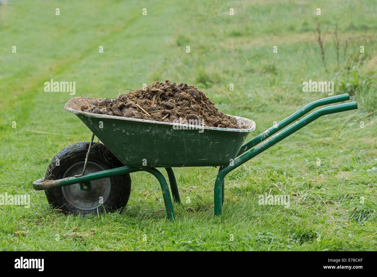 10 Best Wheelbarrow For Horse Manure In 2023 The Wrench Finder