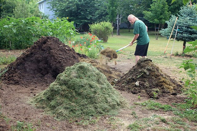 compost for grass seed 2